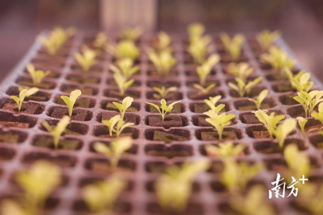 “智慧小院”内部场景。